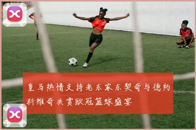皇马热情支持老东家东契奇与德约科维奇共赏欧冠篮球盛宴