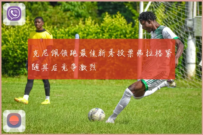 克尼佩领跑最佳新秀投票弗拉格紧随其后竞争激烈