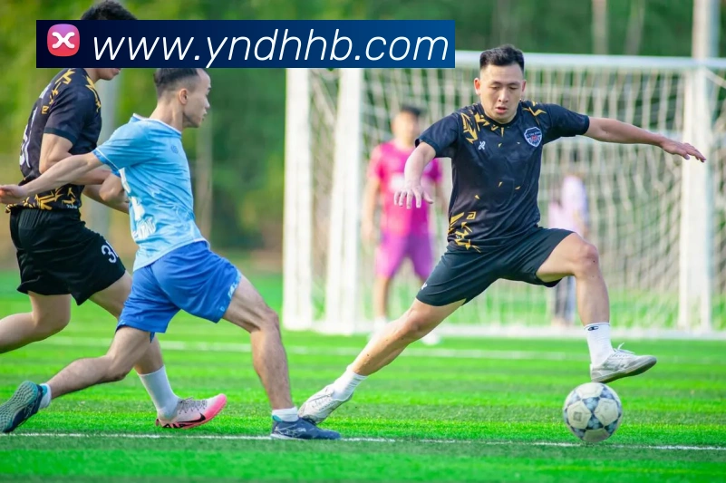 开云在线登录app入口服务体系